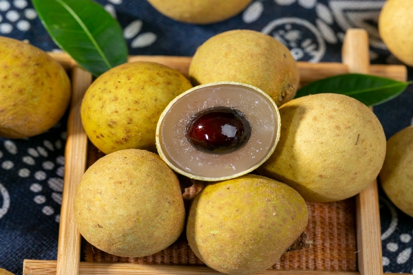 湿桂圆的功效与作用