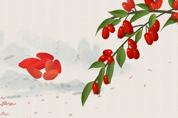 桂圆和枸杞子泡水喝有什么功效
