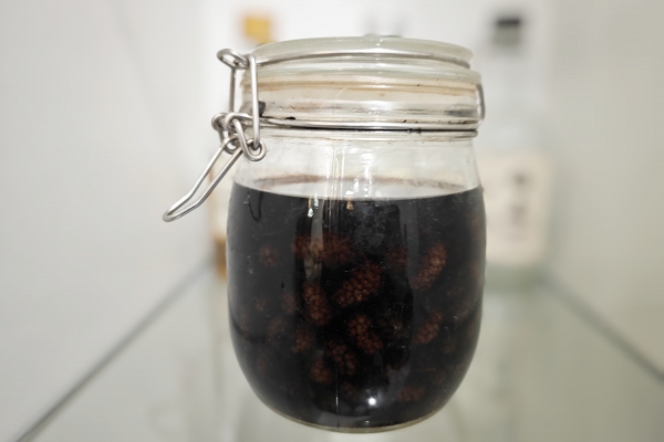 桑葚干泡酒的功效与作用