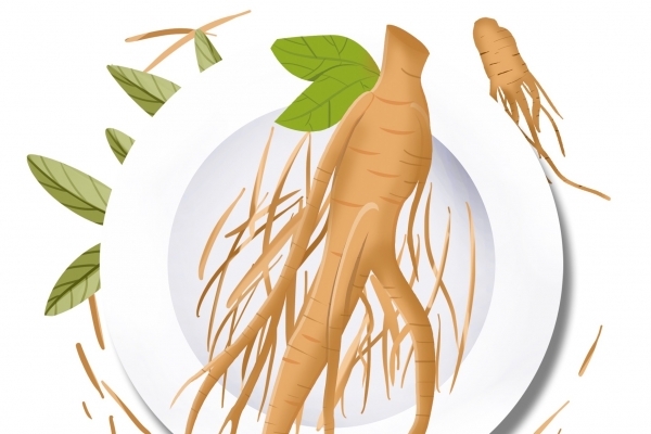 孩子吃什么可以长个子