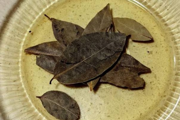 煮羊肉需要哪些调料