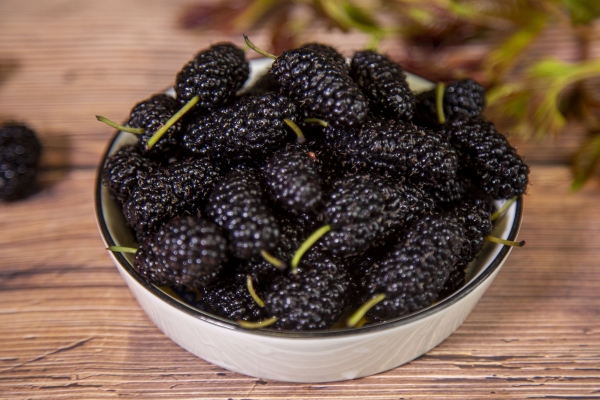 一斤桑葚泡几斤白酒