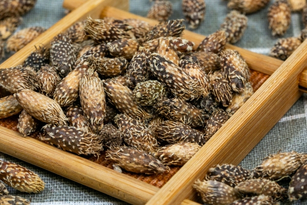 苍耳子和白头翁的功效一样吗