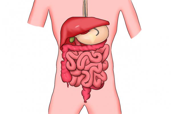 酸角都不甜为什么糖分高