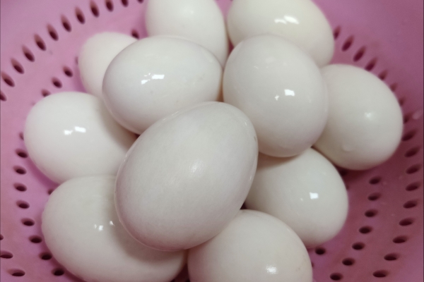 鸭蛋的营养价值及功效与作用有哪些