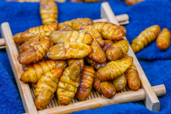 蚕蛹的营养价值及功效