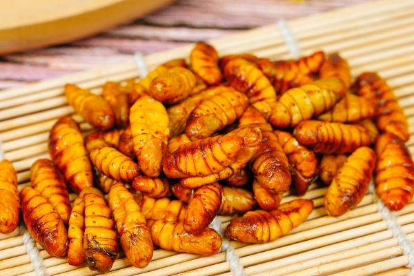 蚕蛹的营养价值及功效