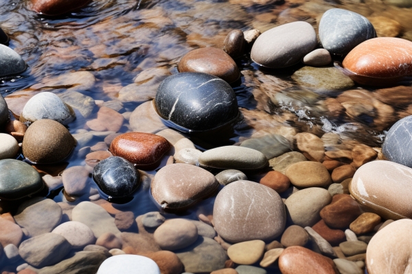 食脑虫感染的初期症状有哪些
