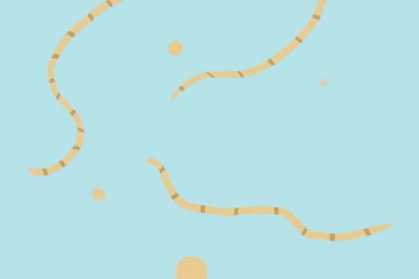 得了食脑虫还有救吗