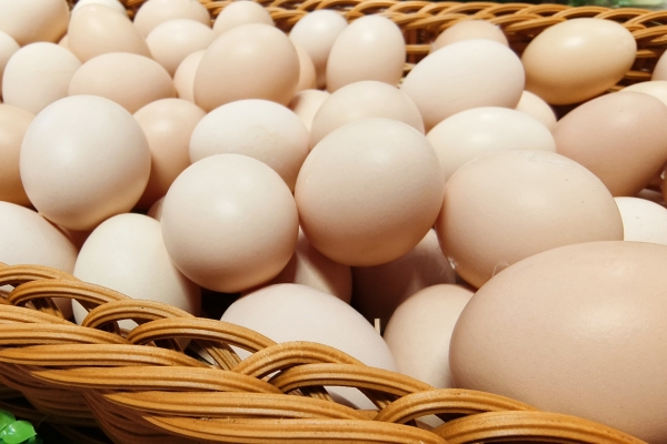 湿气重如何排湿