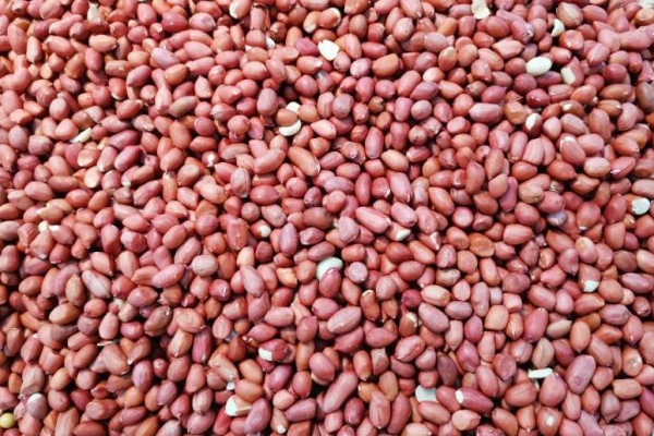 花生过敏的症状有哪些