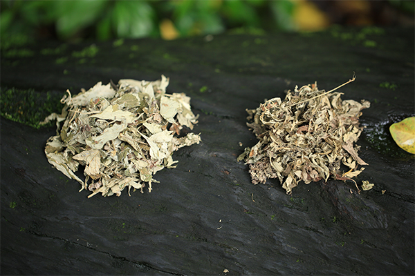 泡脚对身体的好处 冬天用艾叶泡脚的好处