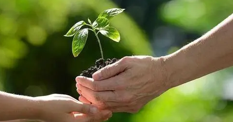 2024年天赦日是哪几天1