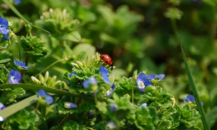 2023惊蛰打小人几点钟合适1