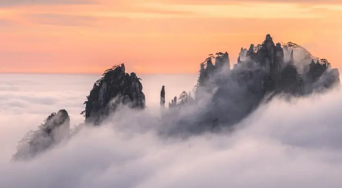 黄山的云海什么时候会出现1