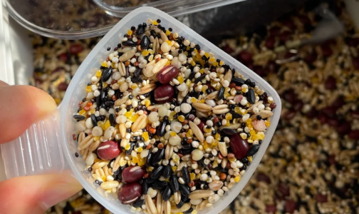 杂粮饭冷冻20天还能吃吗2