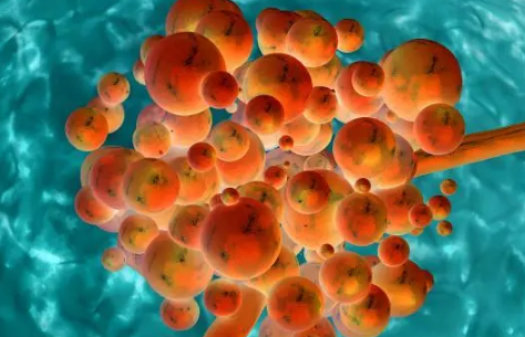 口腔念珠菌会不会一天就消1