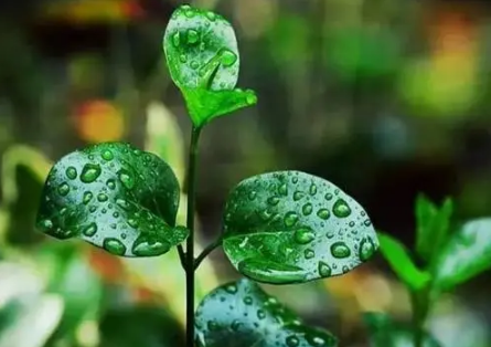 2023长沙梅雨季节是哪几个月3