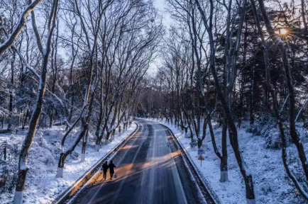 2023南京4月冷吗1