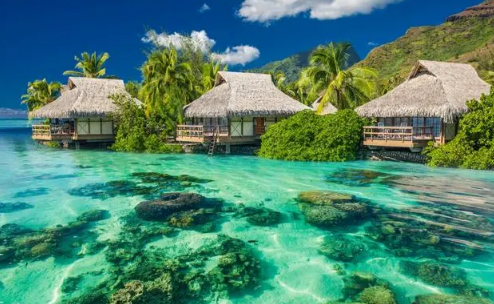 2023年上海夏天是闷热还是干热1