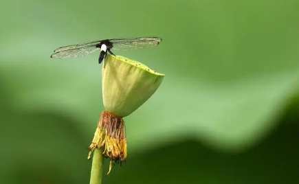 2023年夏至过后几点天亮1