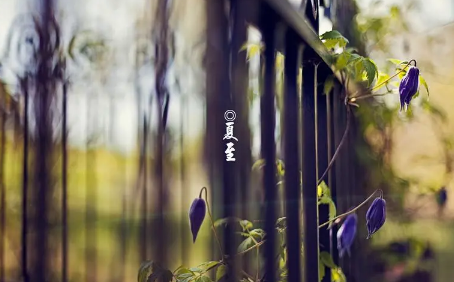 2023夏至是天最长的时候吗1