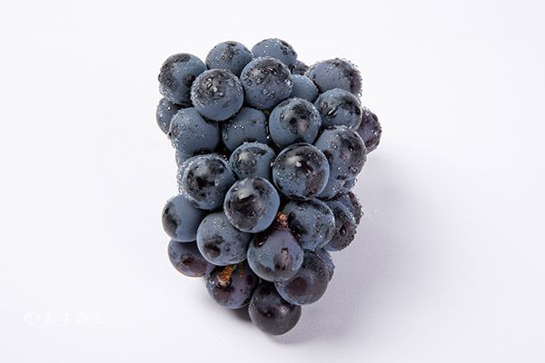 葡萄8.jpg