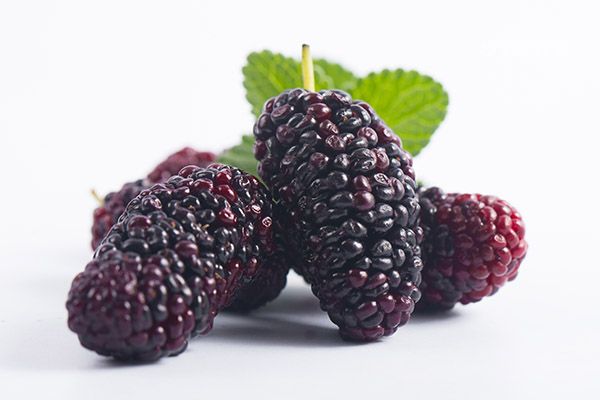 桑葚3.jpg 桑葚3.jpg