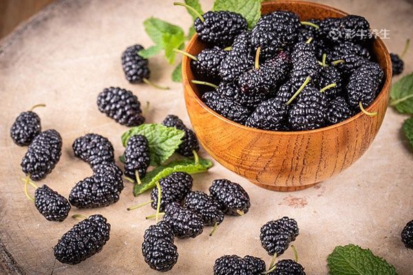 桑葚酒1.jpg 桑葚酒1.jpg