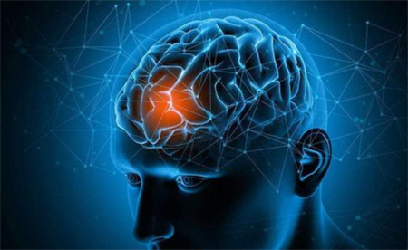 内啡肽和多巴胺是什么 它们的区别在哪里