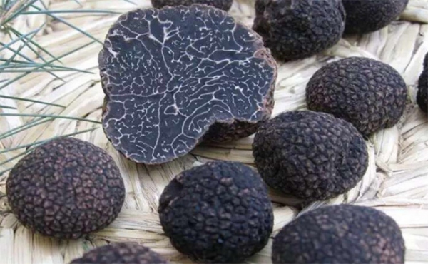 黑松露有哪些功效与作用，黑松露哪些人不能吃