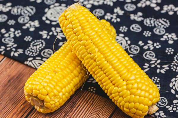 玉米渣的功效与作用、禁忌和食用方法