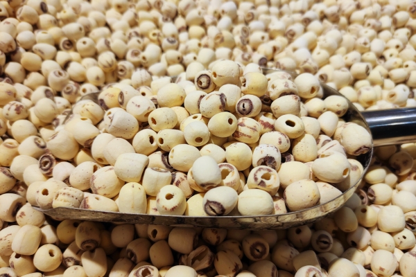 莲米的功效与作用、禁忌和食用方法