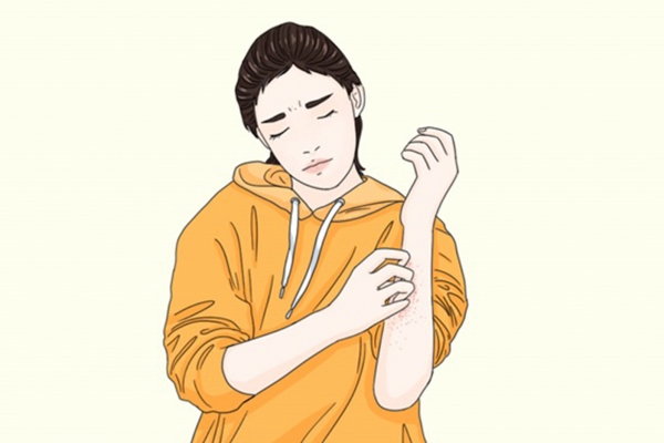 老香橼的功效与作用、禁忌和食用方法