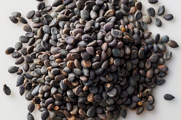 芝麻叶的功效与作用、禁忌和食用方法