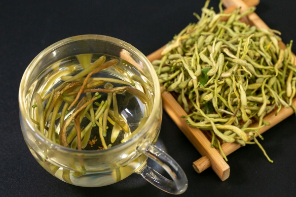 金银花的功效与作用、禁忌和食用方法