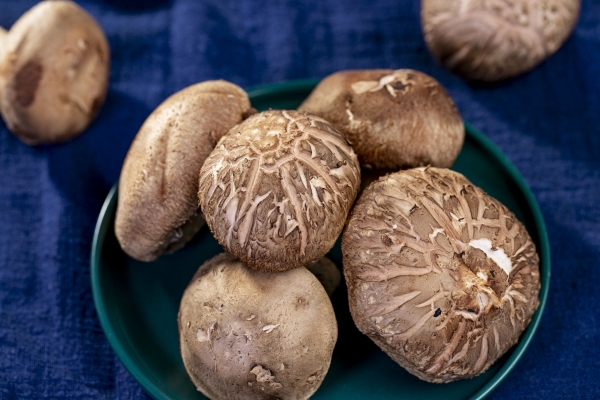 干香菇的功效与作用、禁忌和食用方法