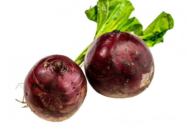 甜菜头的功效与作用、禁忌和食用方法