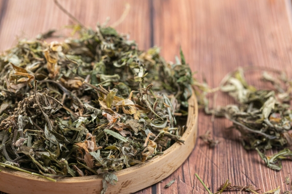 野艾蒿的功效与作用、禁忌和食用方法