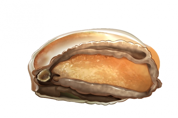 鲍鱼汤的功效与作用、禁忌和食用方法