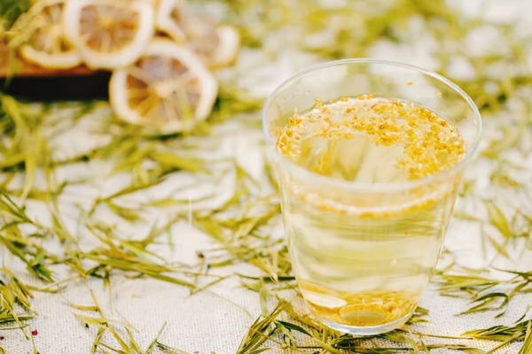 桂花籽的功效与作用、禁忌和食用方法