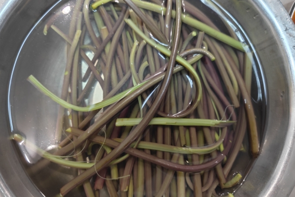 蕨菜的功效与作用、禁忌和食用方法