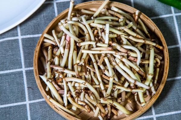 鱼腥草根的功效与作用、禁忌和食用方法