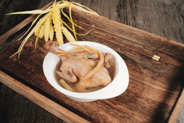 鸽子血的功效与作用、禁忌和食用方法