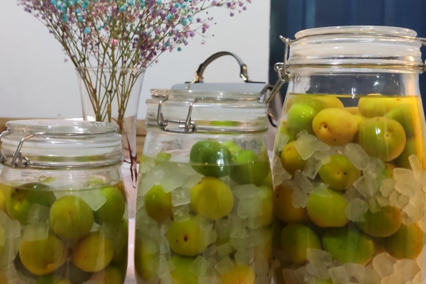 青梅酒的功效与作用、禁忌和食用方法