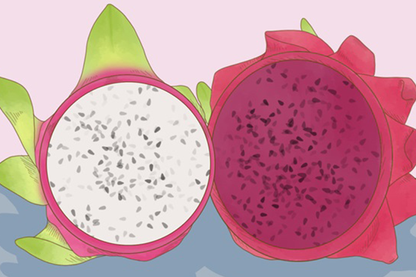 红心火龙果的功效与作用、禁忌和食用方法