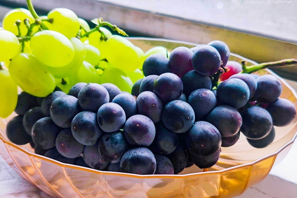 葡萄籽的功效与作用、禁忌和食用方法