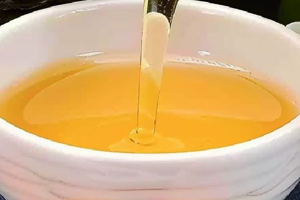 山茶油的功效与作用、禁忌和食用方法