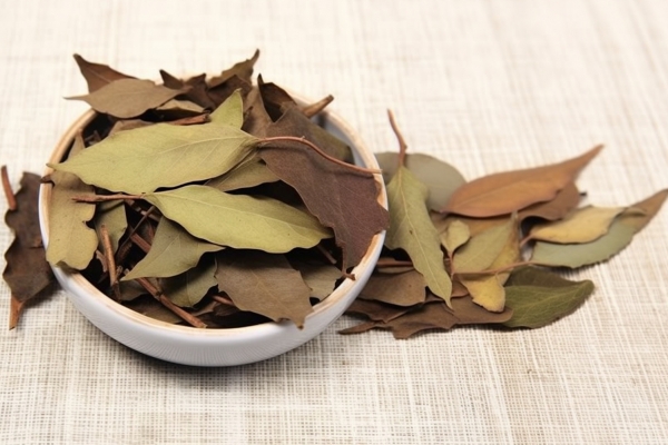 十三香的功效与作用、禁忌和食用方法