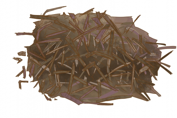 烧仙草的功效与作用、禁忌和食用方法